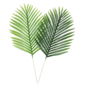 Palm frond prop