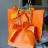 Orange plain paper bag