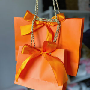 Orange plain paper bag