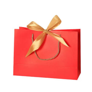 Red plain paper bag