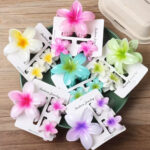 Claw clip (pack of 3pcs)