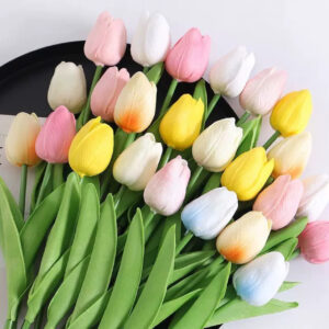 Tulip (1pc)