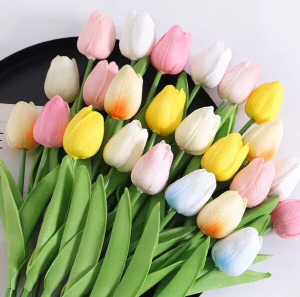Tulip (1pc)
