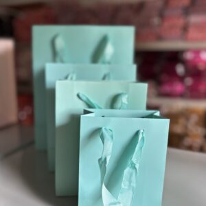 Plain blue paper bag (pack of 5pcs)